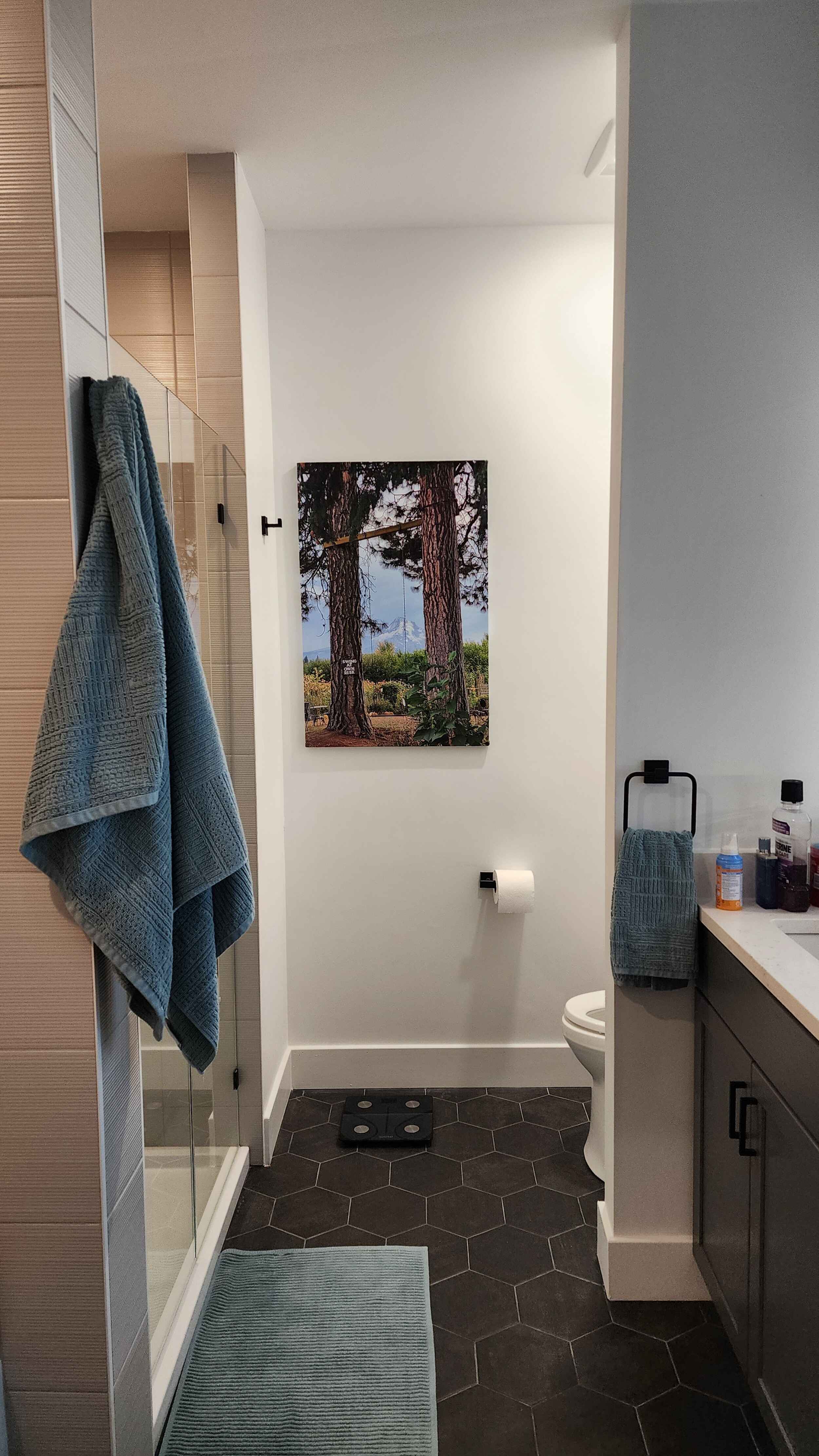 Primary Bathroom 1